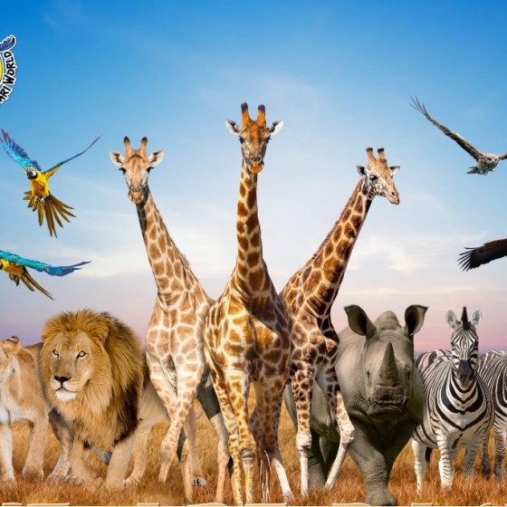 サファリワールド